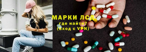 ECSTASY Алзамай