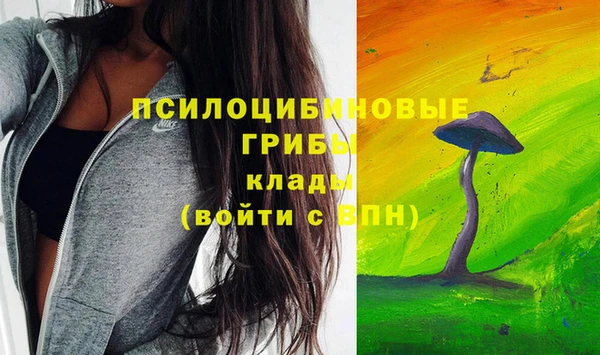 spice Абаза