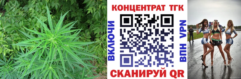 сколько стоит  Курск  ТГК Wax 